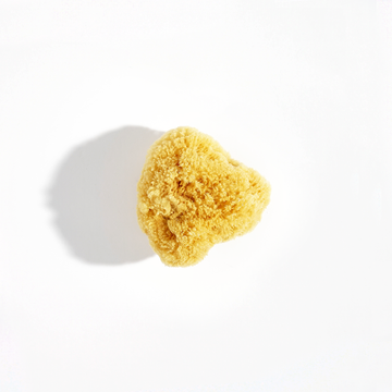 Natural Sea Sponge